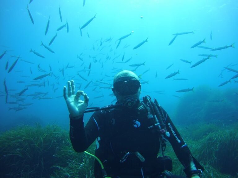 Menorca: Baptism Scuba Diving in Marine Reserve - Exploring Menorca’s Underwater World in Comfort and Confidence