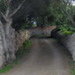 Menorca: E-Bike Tour From Punta Prima to Binibeca - In-Depth Review of the Menorca E-Bike Tour