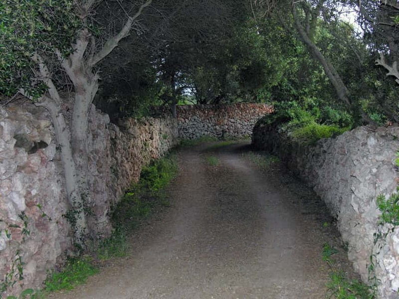 Menorca: E-Bike Tour From Punta Prima to Binibeca - In-Depth Review of the Menorca E-Bike Tour