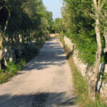 Menorca: E-Bike Tour From Punta Prima to Es Castell - Who Will Love This Tour?