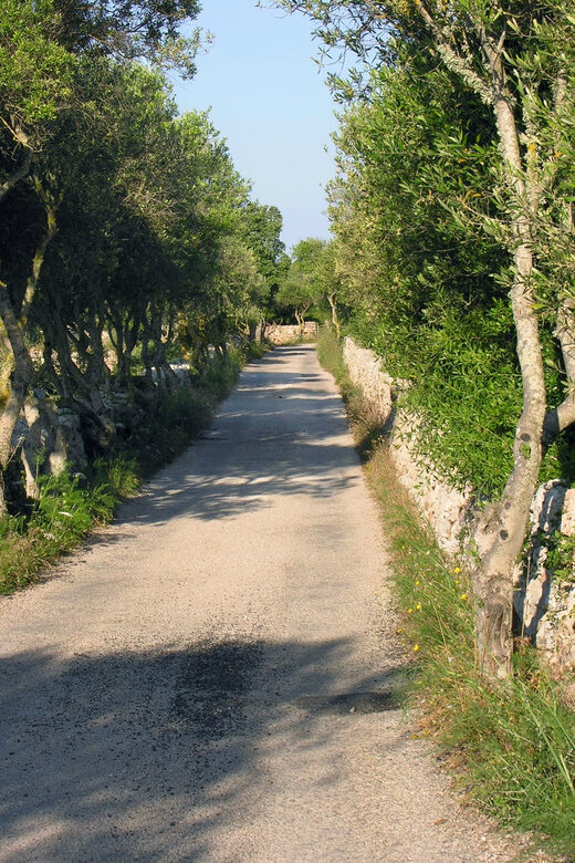Menorca: E-Bike Tour From Punta Prima to Es Castell - Who Will Love This Tour?