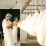 Menorca: Guided visit to the Subaida cheese factory, - Who will enjoy this tour most?