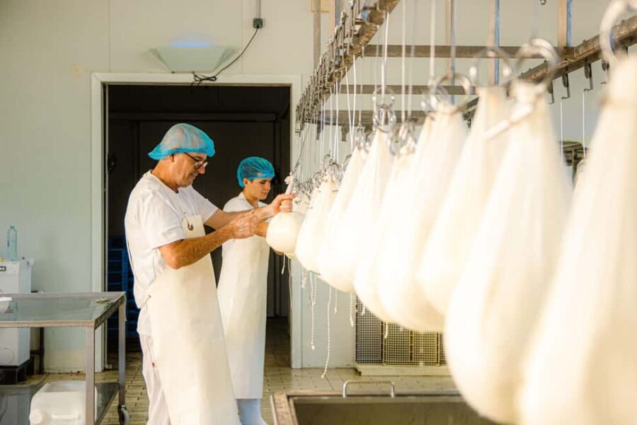 Menorca: Guided visit to the Subaida cheese factory, - Who will enjoy this tour most?