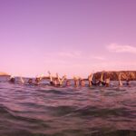 Menorca: Snorkeling Safari Tour - Why This Tour is a Great Choice