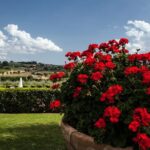 Menu with a View in the enchantment of the Tuscan hills - An In-Depth Look at the Experience