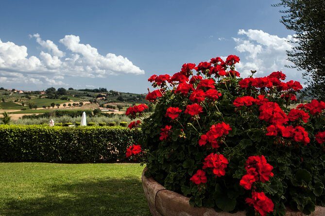 Menu with a View in the enchantment of the Tuscan hills - An In-Depth Look at the Experience
