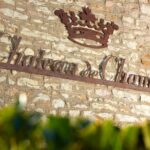 Mercurey: Château de Chamirey and a tasting - Authentic Feedback from Travelers