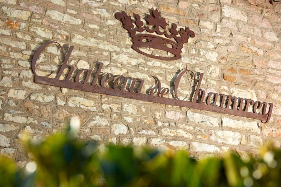 Mercurey: Château de Chamirey and a tasting - Authentic Feedback from Travelers