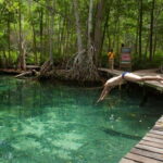 Merida: Celestun Boat Ride Mangrove Experience! Beach Time - The Value Proposition: Who Will Love This Tour?