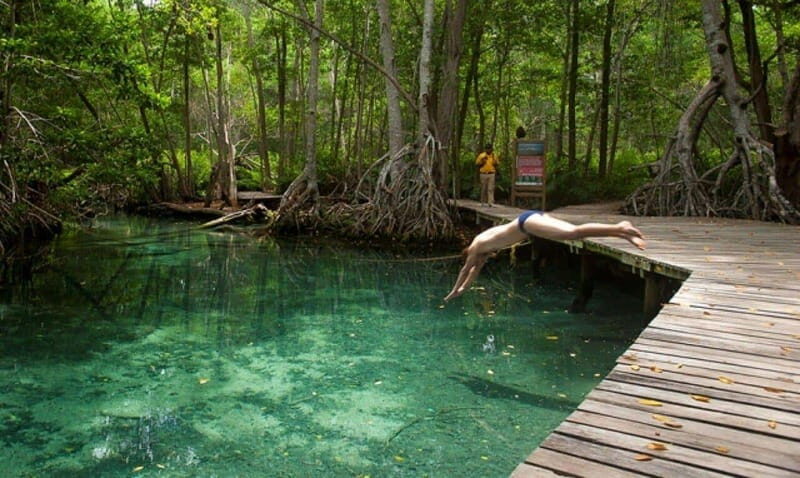 Merida: Celestun Boat Ride Mangrove Experience! Beach Time - The Value Proposition: Who Will Love This Tour?