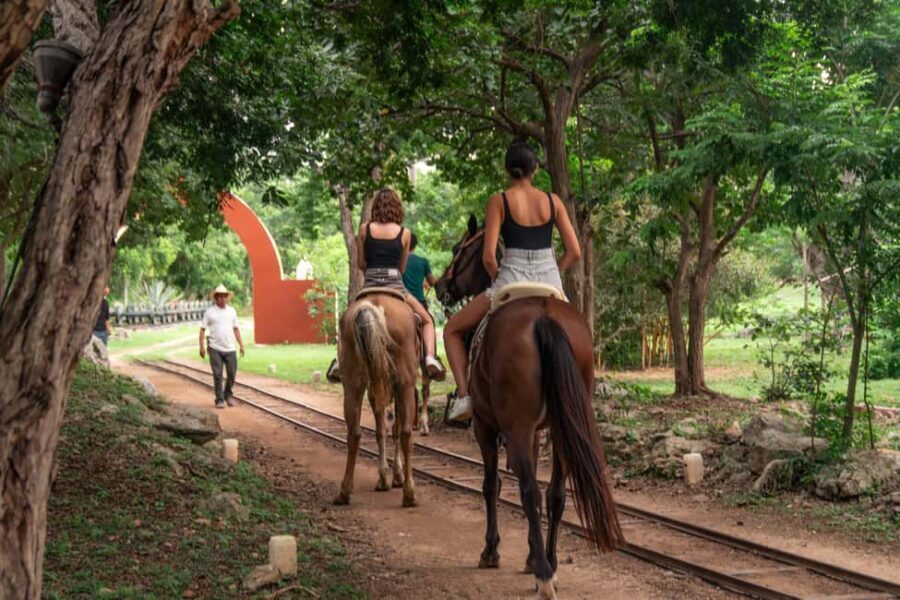 Mérida: Jungle & Cenotes Tour with Horseriding & Lunch
