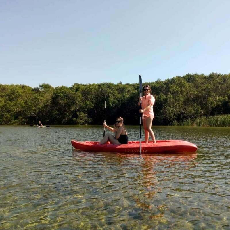 Merida: Kayaking and Bird Sanctuary in Sisal - Final Thoughts