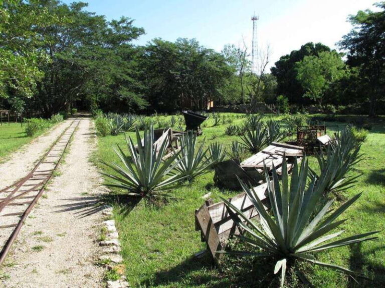 Merida: Yucatan Cenotes and Hacienda Full-Day Trip with Food - Final Thoughts