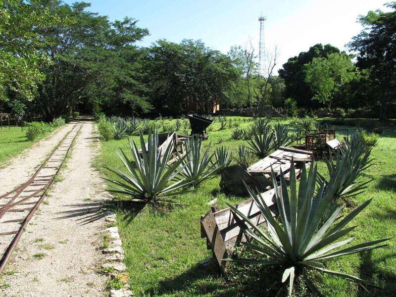 Merida: Yucatan Cenotes and Hacienda Full-Day Trip with Food - Final Thoughts