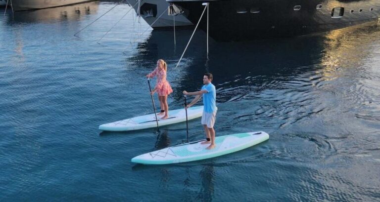 Merritt Island: Electric Motorized Paddleboard Rental - Why Choose This Experience?