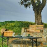 Mértola's Stunning Countryside Picnic - The Value of a Local Countryside Picnic