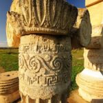 Metaponto: Private Guided Tour to the Archeological Site - Practical Details and Value