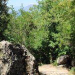 Meteora day trip from Thessaloniki - Who Will Love This Tour?