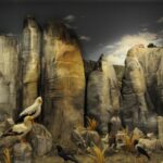 Meteora: Natural History Museum and Mushroom Museum Tour - Final Thoughts