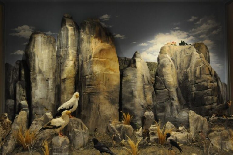 Meteora: Natural History Museum and Mushroom Museum Tour - Final Thoughts