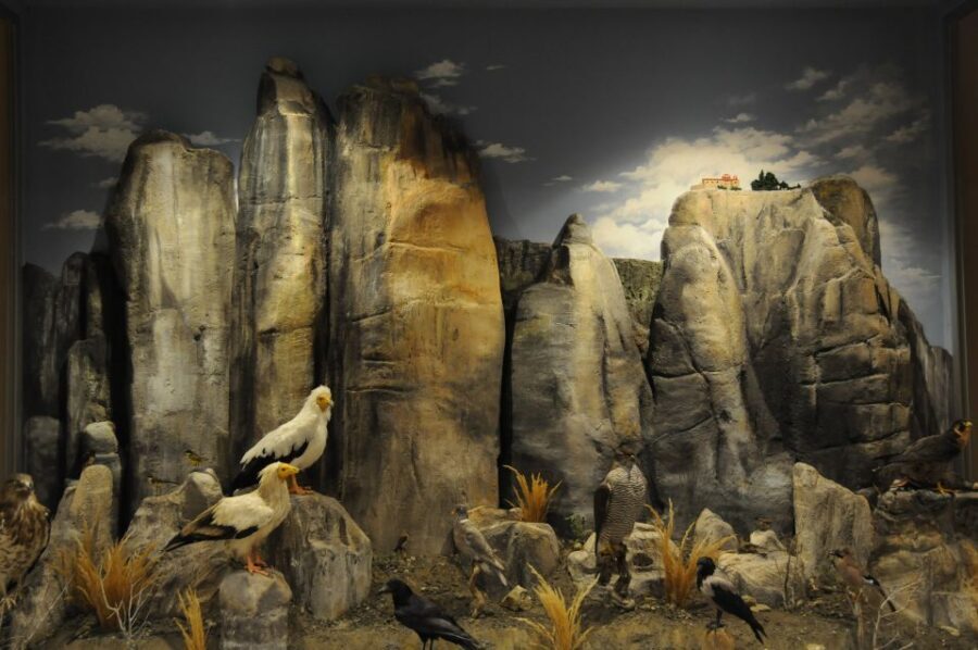 Meteora: Natural History Museum and Mushroom Museum Tour - Final Thoughts