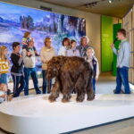Mettmann: Neanderthal Museum Admission Ticket - Final Thoughts: Is It Worth It?