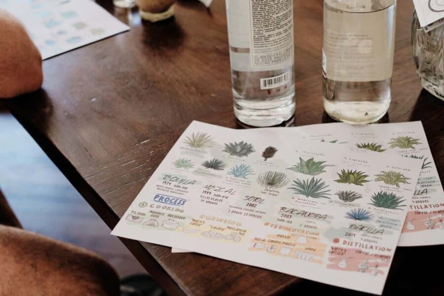 Mexican Spirits Tasting: Experience the Essence of Tradition - Who Should Consider This Tour?