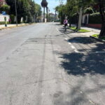 Mexico City: Bike, Cannabis, Nature, Food, Culture and History. - What Makes This Tour Stand Out?