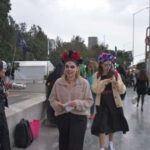 Mexico City: Day of the Dead Guided Tour - The Sum Up: Who Should Consider This Tour?
