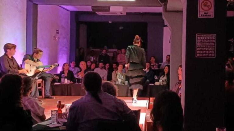 Mexico City: Flamenco Tablao Live Show & dinner - Who Should Consider This Tour?