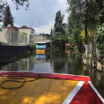 Mexico City: Frida Kahlo, Coyoacán, and Xochimilco Day Tour - Who Is This Tour Best For?