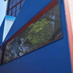Mexico City: Frida Kahlo-Diego Rivera Studio House Tour - Why This Tour Matters