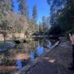 Mexico city: Hiking tour to Desierto de los leones - The Small Group Advantage