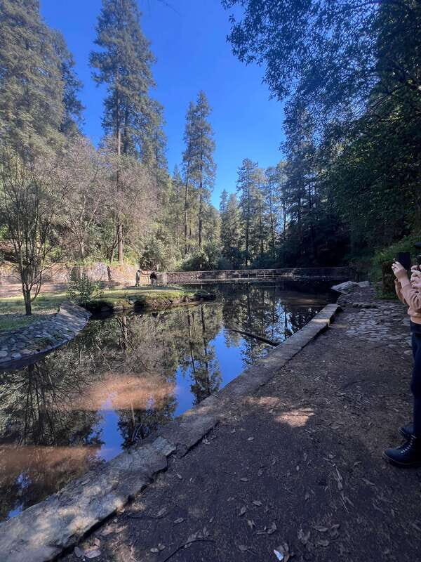 Mexico city: Hiking tour to Desierto de los leones - The Small Group Advantage