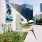 Mexico City: Inbursa Aquarium optional Round trip transfer - What to Expect During Your Visit