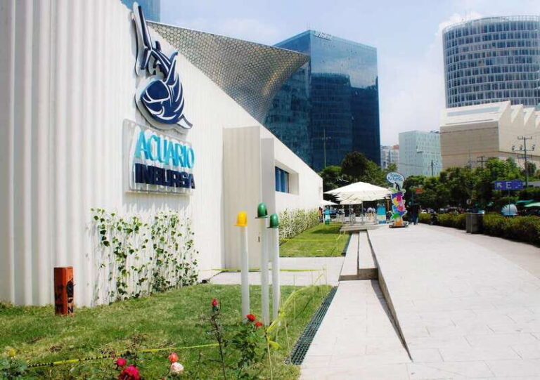 Mexico City: Inbursa Aquarium optional Round trip transfer - What to Expect During Your Visit