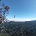Mexico City: Morning Hiking at Mirador Coconetla - Who Will Love This Tour?
