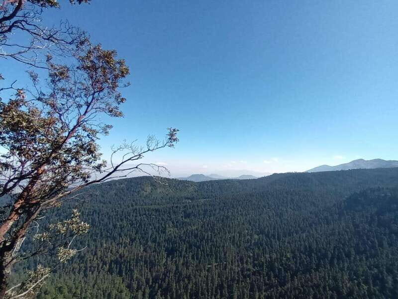 Mexico City: Morning Hiking at Mirador Coconetla - Who Will Love This Tour?