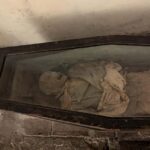 Mexico City: Museum of El Carmen Tour with Ticket - An In-Depth Look at the El Carmen Museum Tour