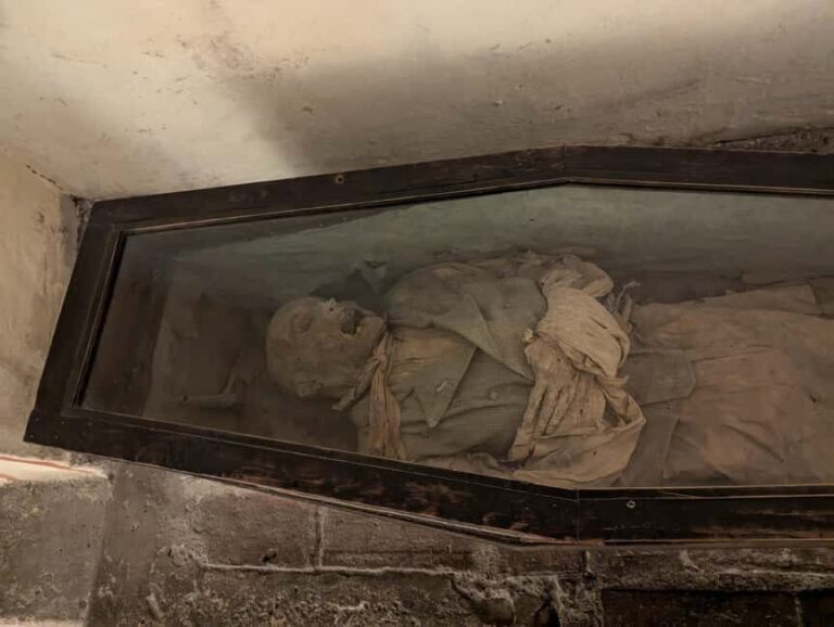 Mexico City: Museum of El Carmen Tour with Ticket - An In-Depth Look at the El Carmen Museum Tour