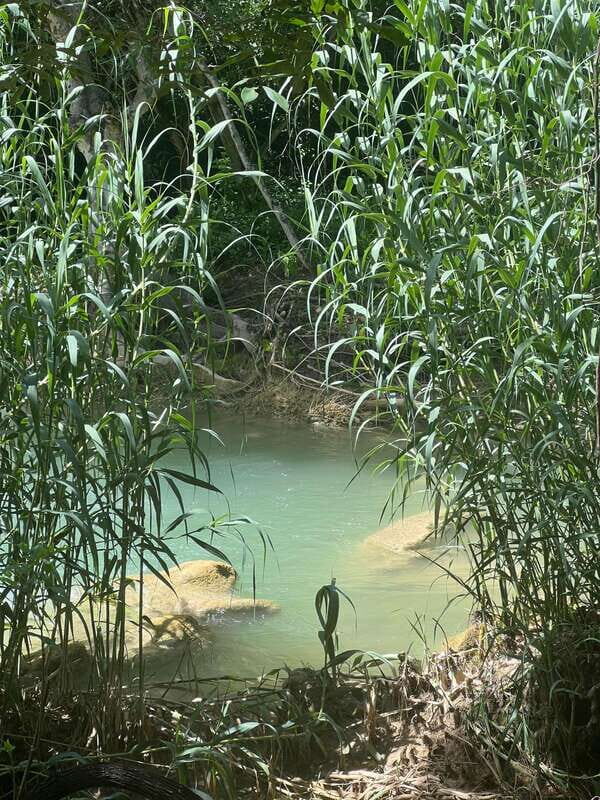 Mexico City: Taxco Thousand Waterfalls - Natural Water Park - A Deep Dive into the Thousand Waterfalls Natural Park Tour