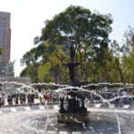 Mexico City tour & Anthropology Museum Tour - In-Depth Review of the Mexico City & Anthropology Museum Tour