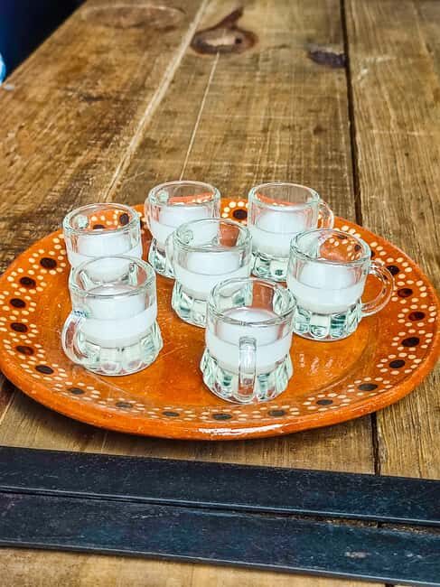 Mexico Off The Beaten Track/ Street Food Bike Tour - Authentic Experience and Value