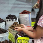 Mexico: Salsa Making Class in a Market with a Chef - The Hands-On Salsa Making