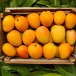 Mexico's Tropical Fruit Guided Tasting in Monterrey - Considerations Before Booking