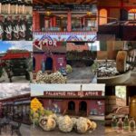 Mezcal Oaxaca: Tour, Gastronomy and Mezcal Tasting - Deep Dive into the Day’s Highlights