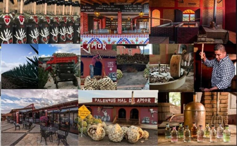 Mezcal Oaxaca: Tour, Gastronomy and Mezcal Tasting - Deep Dive into the Day’s Highlights