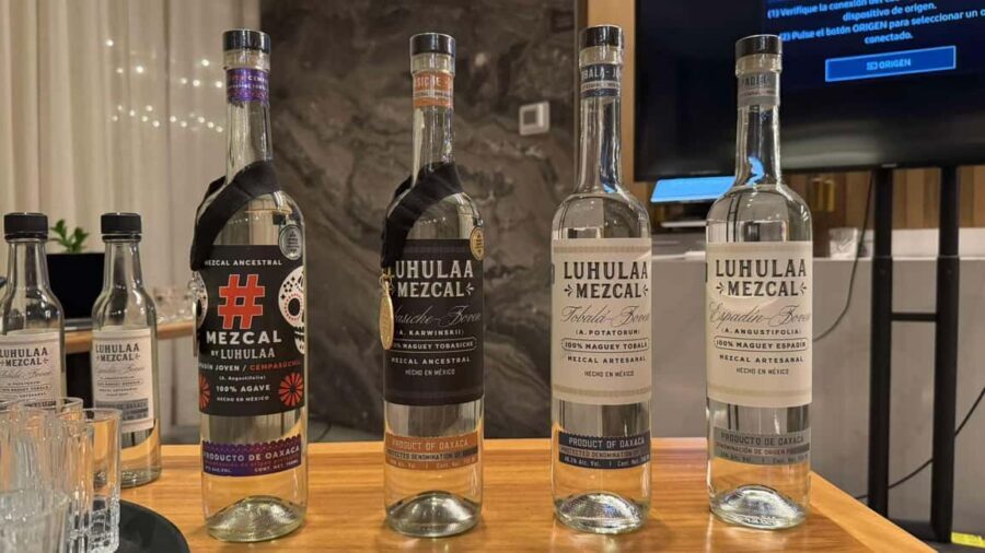 Mezcales tradicionales: Experiencia de Sabores con Historia - A Deep Dive into the Mezcal Experience in San Miguel de Allende