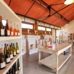 Mèze: Domaine Saint André Vineyard Guided Tour with Tasting - An In-Depth Look at the Domaine Saint André Tour
