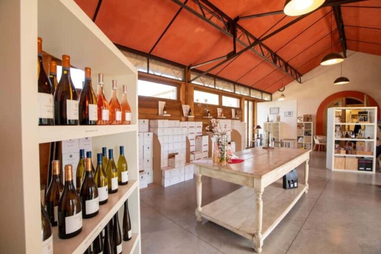 Mèze: Domaine Saint André Vineyard Guided Tour with Tasting - An In-Depth Look at the Domaine Saint André Tour